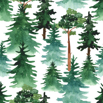 Watercolor seamless pattern with fir trees and pines on white background