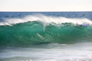 Fototapeta premium Clear Green