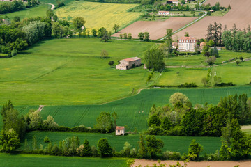 Obraz premium Farmland in the south of France