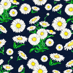 Seamless pattern with white camomile daisy on blue background.