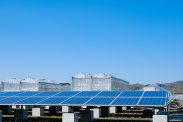 ソーラーパネル　太陽光発電　施設　メガソーラー