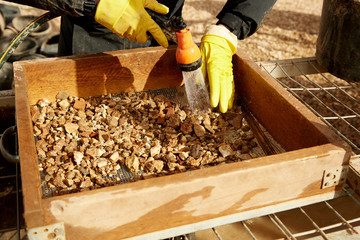 Archeological Dig at Shiloh in Israel