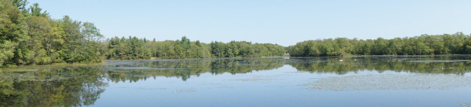 Panorama of thirty acre pond in D.W. Field Park in Brockkton, MA