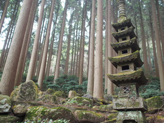 林の中の日本庭園