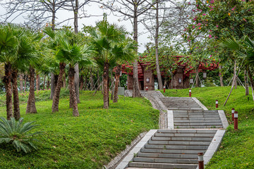 wide angle view of footpath in the park, no people,trees background