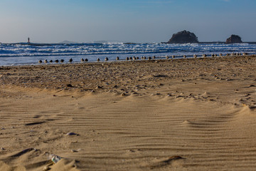 Lyrical landscape with waves on the west coast island