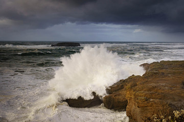 Oregon coast Pacific Ocean Newport