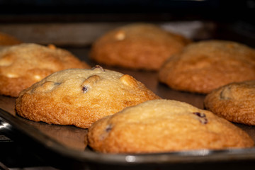 Baked chocolate chip cookies