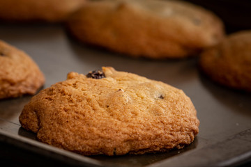 Baked chocolate chip cookies
