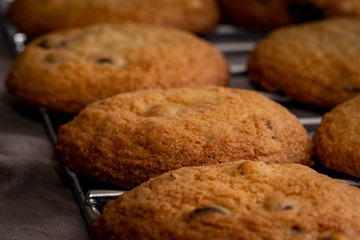 Baked chocolate chip cookies