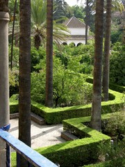 Fototapeta premium Seville, Spain, Real Alcazar, Gardens
