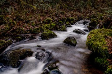 McDowell Creek Lebanon Oregon Cascade Range Waterfall