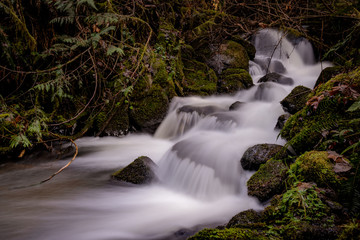 McDowell Creek Lebanon Oregon Cascade Range Waterfall