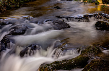 McDowell Creek Lebanon Oregon Cascade Range Forest