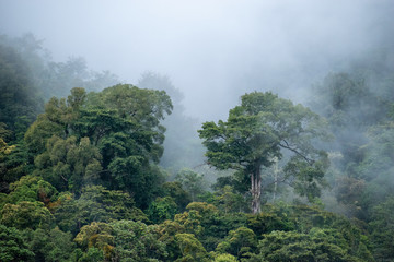 Naturaleza en Costa Rica 