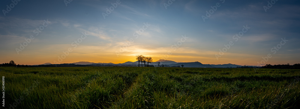 Wall mural Sunset over grass field Mary's Peak Oregon Willamette Valley