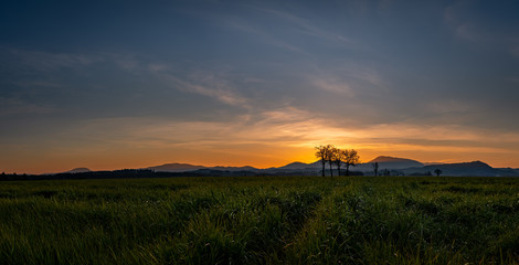 Fototapeta na wymiar Sunset over grass field Mary's Peak Oregon Willamette Valley
