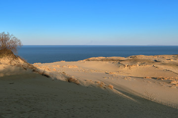 Sunset view of nordic sand dunes and bushes at Baltic sea at Curonian spit, Nida, Klaipeda, Lithuania