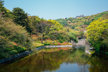 Fototapeta na wymiar Matsuyama castle and green forest park in Matsuyama, Shikoku, Japan