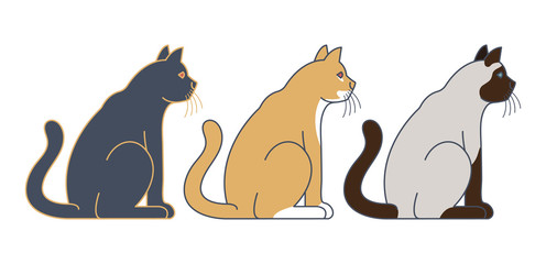 the vector illustration of side view sitting cat.
