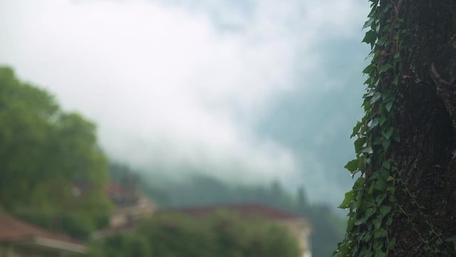 Foggy morning in Konitsa a traditional village in Epirus region in Greece, day shot of the forest and village view and ivy plant on front