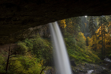 Fototapeta na wymiar Long exposure of a waterfall at Silver Falls State Park, Silverton, Oregon, USA, in the Autumn, viewed from behind, featuring yellow and orange colors and coniferous trees in the fog