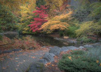 Empty bench at Lithia Park by the lake in Ashland, Oregon, USA, featuring red and yellow leaves in the Autumn 