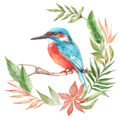Watercolor Bird Kingfisher On Branch. Hand Painted Illustration on white background