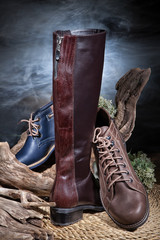 Still Life WIth Shoes