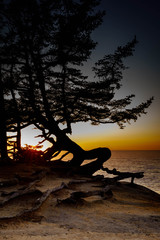 Sunset evening at Shore Acres Winchester Oregon Coast