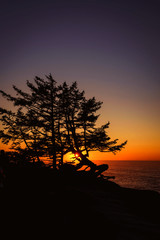 Sunset evening at Shore Acres Winchester Oregon Coast