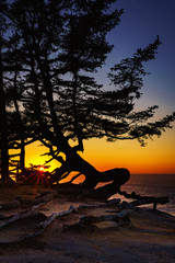 Sunset evening at Shore Acres Winchester Oregon Coast