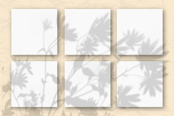 6 square sheets of white textured paper on the sand-colored wall. Mockup overlay with the plant shadows. Natural light casts shadows from flowers and leaves of daisies. Flat lay, top view