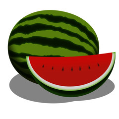 Watermelon  fruit isolated vector.