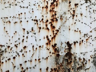 closeup brown rusty old metal texture