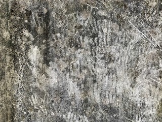 closeup old dirty surface painted wall with black dry moss