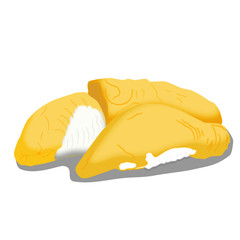 Durian fruit inside isolated drawing vector.