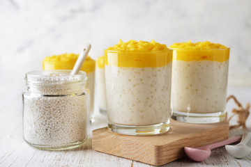 Tapioca pudding with mango puree