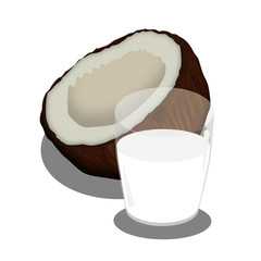 Coconut shell isolated drawing vector.