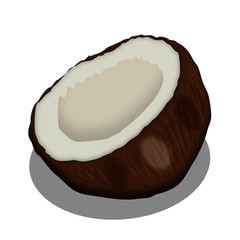 Coconut shell isolated drawing vector.