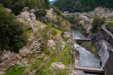 人すくないなぁ