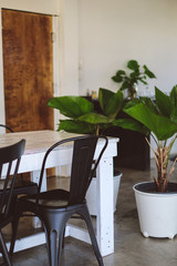 The decoration furniture and ornamental plants of a modern design looking cafe'