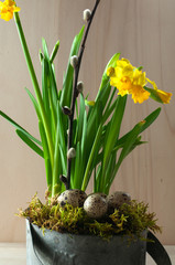 small daffodils in a metal basket with spotted eggs
