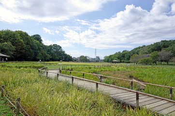 北山公園