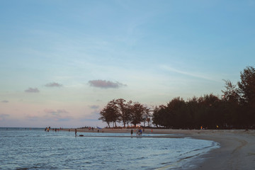 Obraz premium winter landscape with trees and blue sky