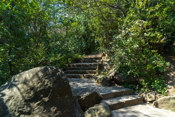 Fototapeta premium Image of a walkway in the spring park.