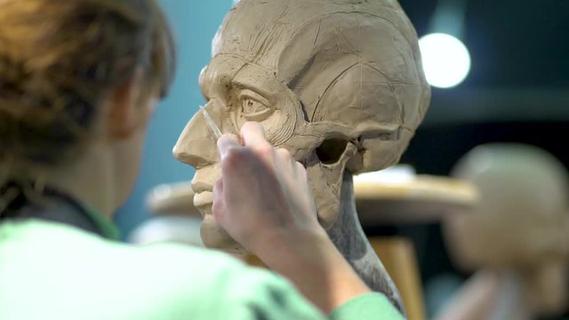 The process of creating ecorche. Sculpture of a human head. Woman sculptor is working on a nose shape.