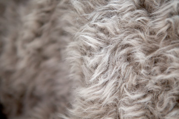 양털무늬회색그레이 재질 따뜻한 이불 털모양 러그느낌 