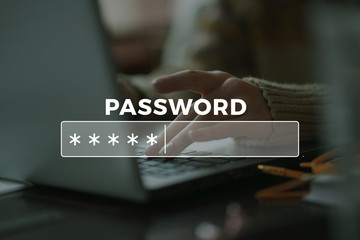 Password Box in Internet Browser