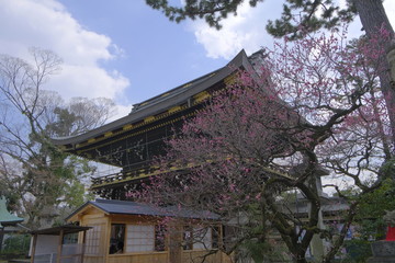 天神信仰の中心 北野天満宮